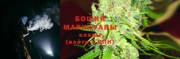 тгк Лиски