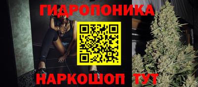 стафф Заводоуковск