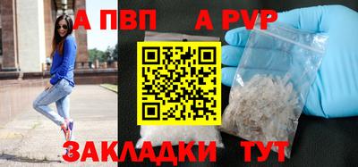стафф Заводоуковск