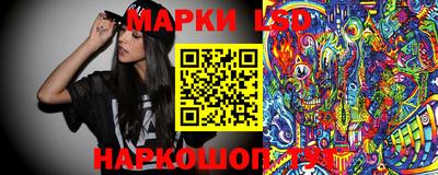 стафф Заводоуковск