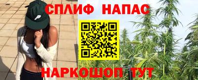 стафф Заводоуковск