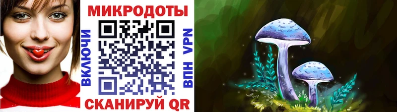 Псилоцибиновые грибы MAGIC MUSHROOMS Новокубанск