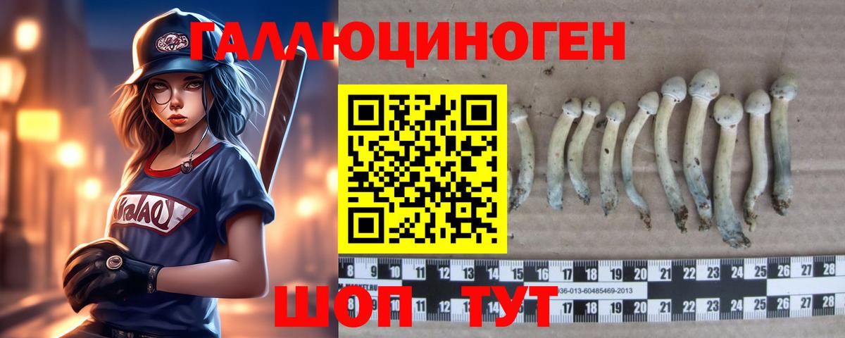 Новокубанск  Галлюциногенные грибы прущие грибы  Вход с VPN 