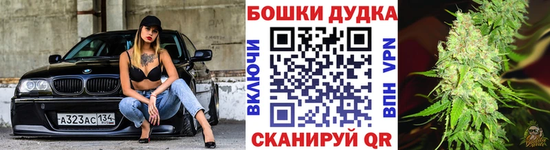 Бошки марихуана LSD WEED  купить наркоту  Новокубанск 
